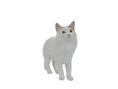 Turkish Van Domestic Cat Low-poly 3D model