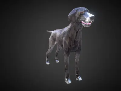 Dog Kurtshaar Grey Low Polygon Art Animal Low-poly 3D model