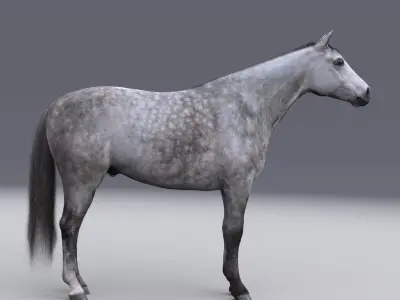 Horse collection with Fur 3D model