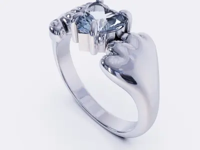 ring WR 681 3D print model