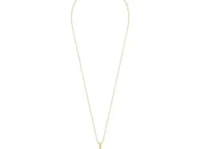 BOUCHERON - SERPENT BOHEME - NECKLACE - SOLARITE MOTIF XS 3D print model