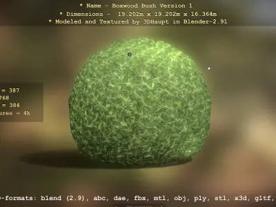 Low-Poly Boxwood Bush Version 1 Low-poly 3D model