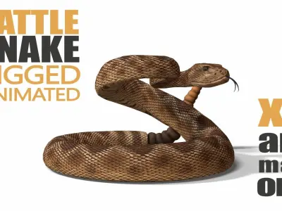 Rattlesnake Low-poly 3D model