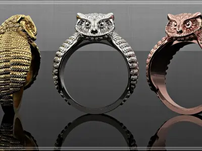 Owl hip hop Ring  3D print model