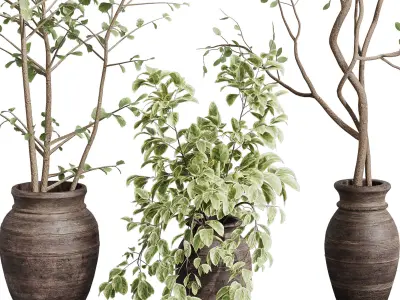 Indoor plant 479 wooden dirt vase plant tree pot 3D model