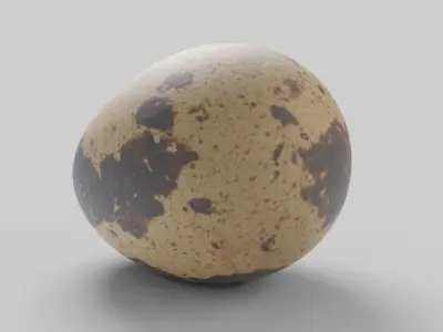 Quail Egg Low-poly 3D model