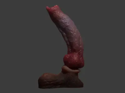 Huge Dog Penis Rigged Low-poly 3D model