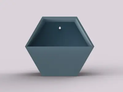 Hexagonal Wall Mount Planter 3D print model