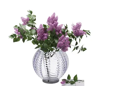 Lilak Vase  3D model