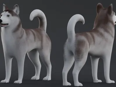 Dog Alaskan Malmute Low Poly Model Game AR VR Low-poly 3D model