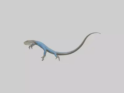 Skink darting model 3D model