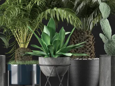 Plants Collection 23 3D model