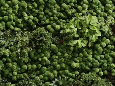 Vertical plant and moss garden wall decor box  wooden garden 109 3D model