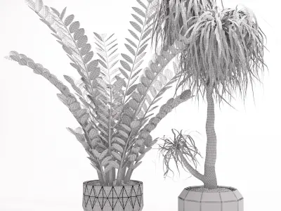 Houseplant 27 3D model