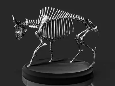 Bison Skeleton Concept Art Model 3D model