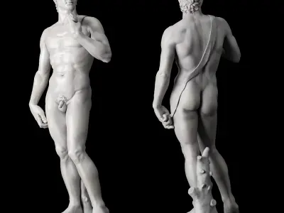 Statue and bust of David 3D model