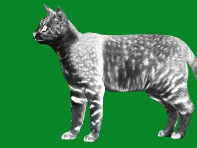 Egyptian Mau Cat Low-poly 3D model