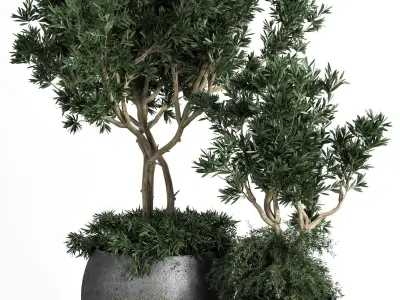 Outdoor Plants tree 03 3D model