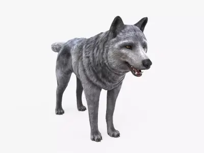 Wolf Low Poly Low-poly 3D model