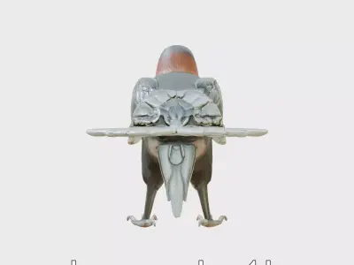 Thick-billed Raven with Massive Bill 3D Model Low-poly 3D model