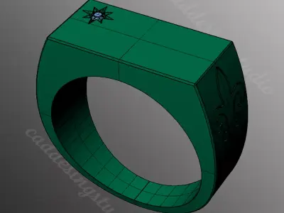 Ring bi154 3D print model
