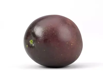 Photorealistic Passion Fruit 3D Scan 2 3D model