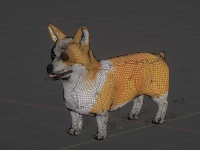 Corgi Dog 3D model