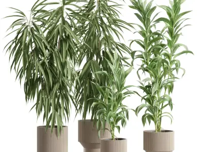 Indoor Plants Pack 88 3D model