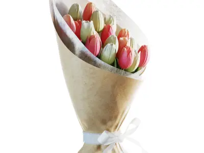 Flower Set 20 - Pink and White Tulips Bouquet 3D model