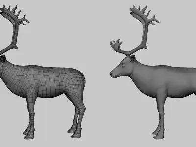 Reindeer Low-poly 3D model buy