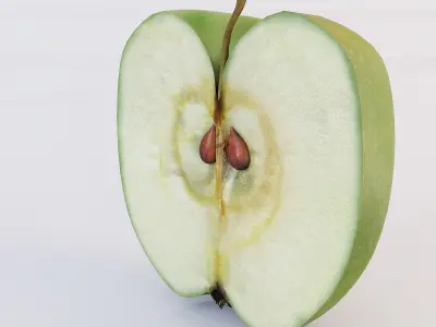 Apple Sliced 3D model
