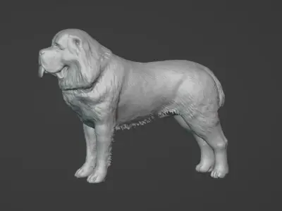 Kangal 3D model