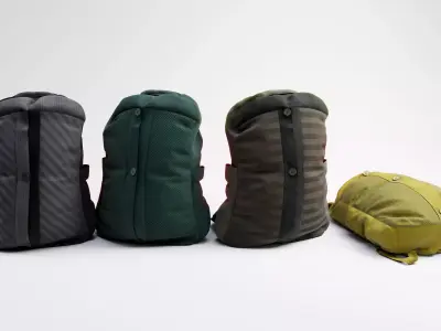 Backpack two backpacks 3D model