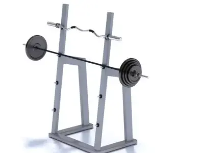 Squat Rack With Weights 3D model