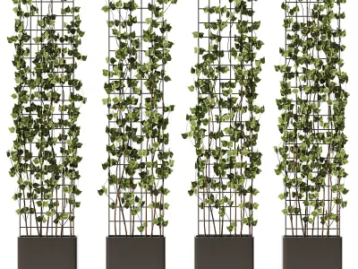 Ivy On Trellis - Set1 3D model