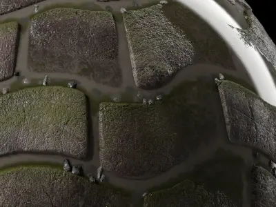 Pavement Materials 36- Paving By Water and Mud Seamless Texture