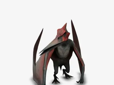 Pteranodon 3D model
