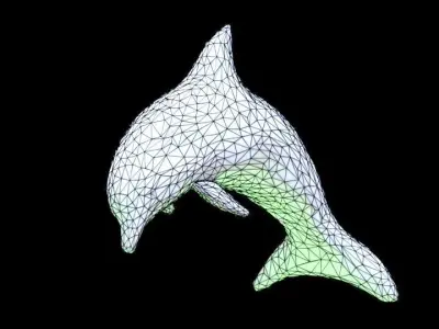 Dolphin Jumping 3D model