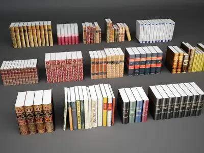 Book Collection 14 3D model