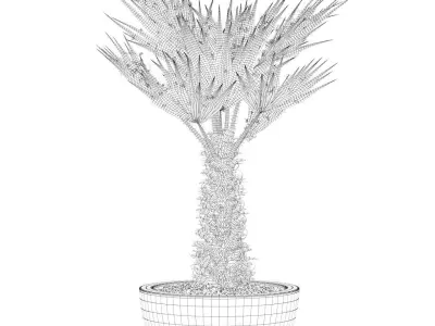 Plants collection 083 3D model