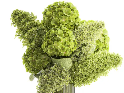 Bouquet of green flowers in a vase hydrangea lilac 321 3D model