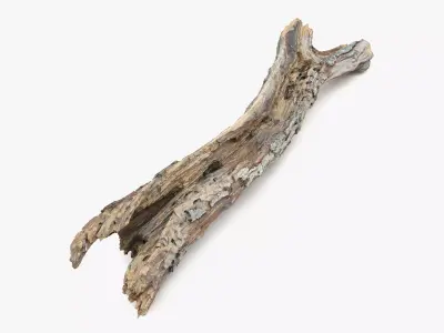 Withered Tree Hide Low-poly 3D model