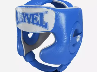 Boxing Helmet 3D model