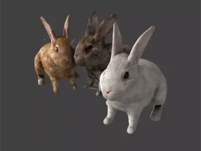 Lovely rabbit three only need friends away with binding 3D model