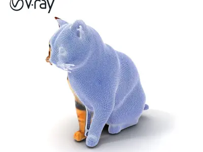 Realistic Domestic Cat D model pack Low-poly 3D model