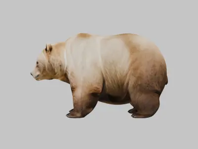 Extremely Obese Cartoon Bear 3D Model Low-poly 3D model