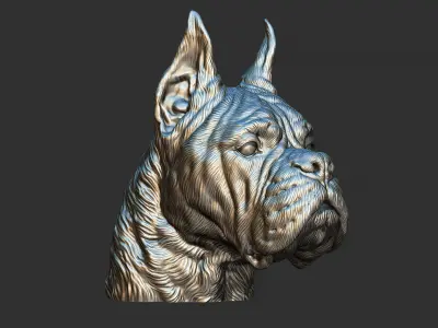 Deutscher Boxer head 3D print model