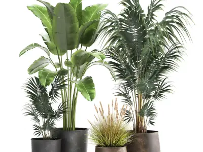 Houseplants in a flowerpot for the interior 964 3D model