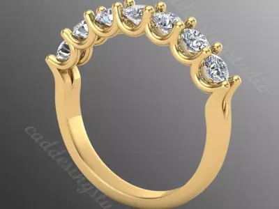 Ring ri2 3D print model