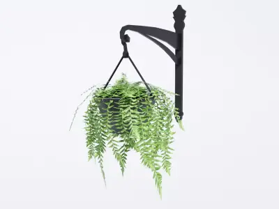 Fern in Hanging Pot Low-poly 3D model
